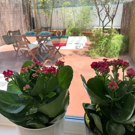 Апартаменты Arroios Лиссабон